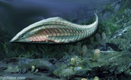 Myllokunmingia