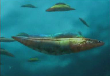 haikouichthys