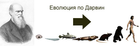 Термодинамична стрела