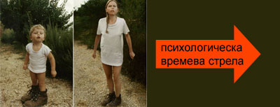 Термодинамична стрела